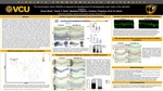 The transcription factor Nfe2l2a is required for development of hematopoietic stem cells in the zebrafish embryo by Sivam Bhatt, Teerth Patel, Madeleine Seputro, Anubhav Thapaliya, and Erich Damm