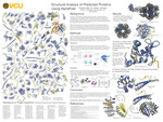 Structural Analysis of Predicted Proteins Using AlphaFold by Brydon P. Wall