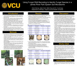 Using Fungal DNA Barcoding to Identify Fungal Species in a James River Park System Soil Microbiome