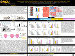 Glycations on Muscle Extracellular Matrix Promote RAGE Expression in Volumetric Muscle Injury Model by Ammar Jawad, Lucas C. Olson, Brock Lodato, Eirian Crocker, Scott Pennebaker, David Joshua Cohen, Tri M. Nguyen, Zvi Schwartz, and Michael J. McClure