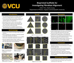 Bioprinted Scaffolds for Investigating Fibroblast Alignment