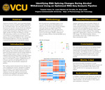 Identifying RNA Splicing Changes During Alcohol Withdrawal Using an Optimized RNA-Seq Analysis Pipeline