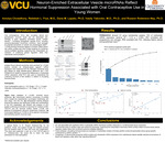 Neuron-Enriched Extracellular Vesicle microRNAs Reflect Hormonal Suppression Associated with Oral Contraceptive Use in Young Women