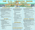 The U.S. Campaign Gacha System and Youth Underrepresentation
