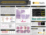 Antiestrogens as Bone Protective Therapeutics for Estrogen Receptor-Positive Breast Cancer in the Presence of Osteoporosis by Faith E. Parker, Emily K. Zboril, David C. Boyd, Rachel Myrick, and J. Chuck Harrell