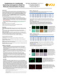 Establishment of a Conditionally Replicating Guinea Pig Cytomegalovirus Model for Molecular Characterization of Latency
