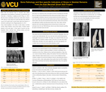 Bone Pathology and Non-Specific Indicators of Stress in Skeletal Remains from the East Marshall Street Well Project by Felix C. Arsenault, Finnegan E. Smith, and Tal Simmons